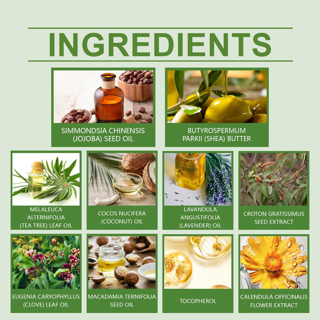 Coconut Hair Care Oil Natural Plant Essence Deeply Nourishe Hair Scalp Reduce Hair Breakage Improve Dryness Moisturize Hair Oil